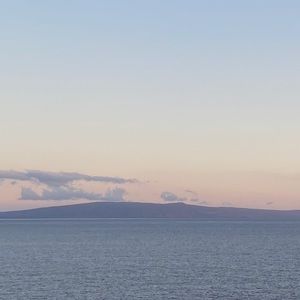 Meet your Posher, Katelyn